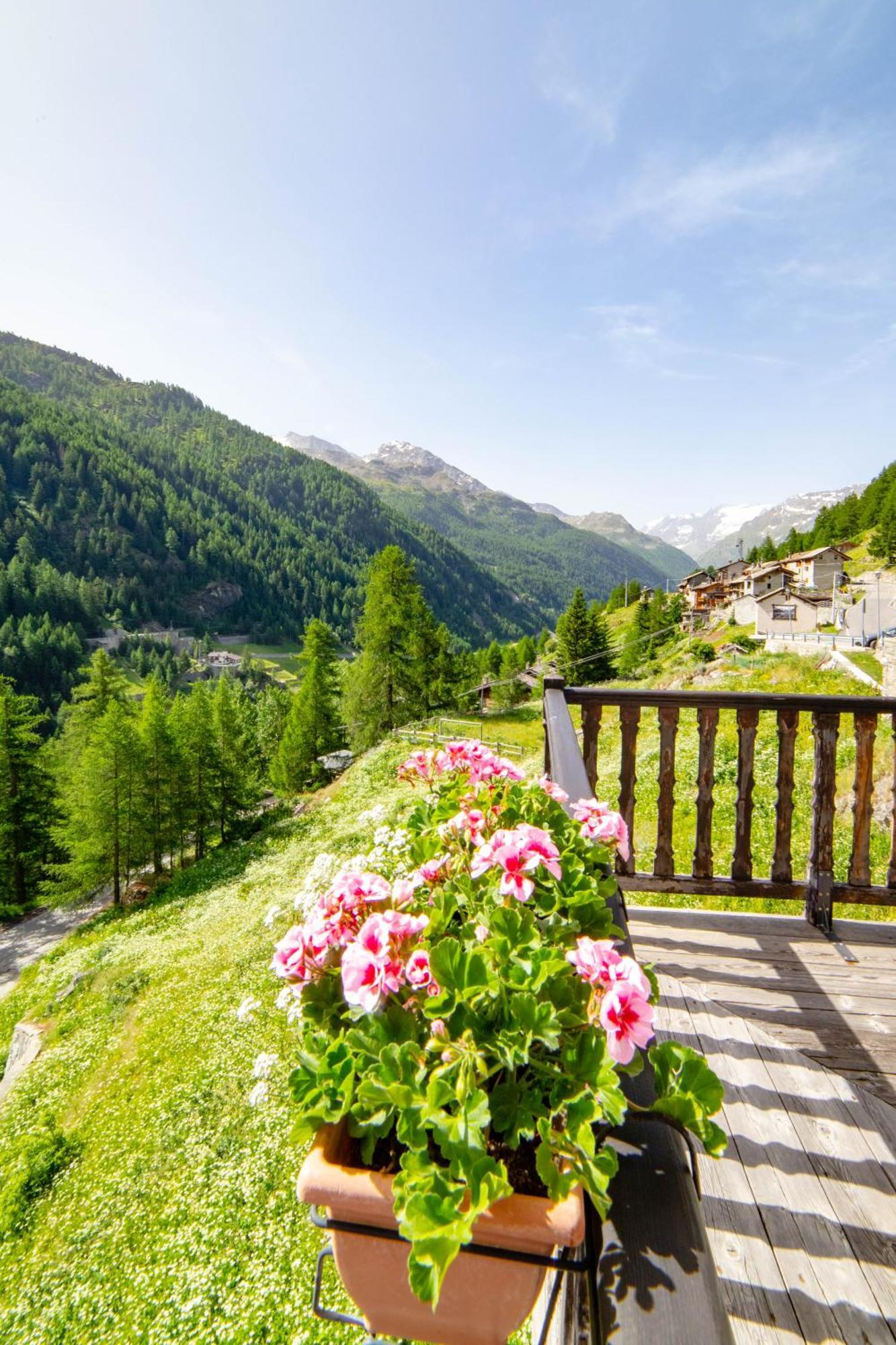 Hotel & Restaurant Perret - Mountain People Valgrisenche Exterior photo