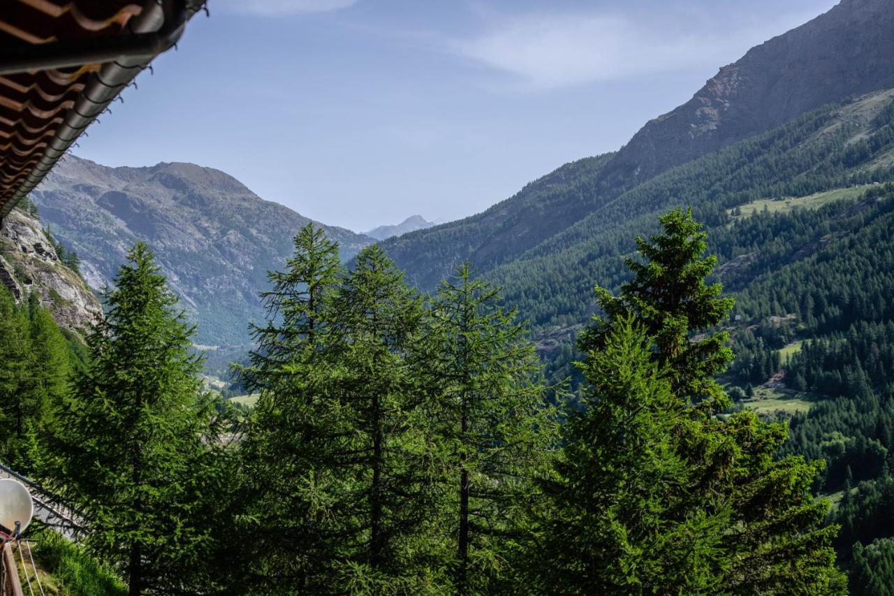 Hotel & Restaurant Perret - Mountain People Valgrisenche Exterior photo