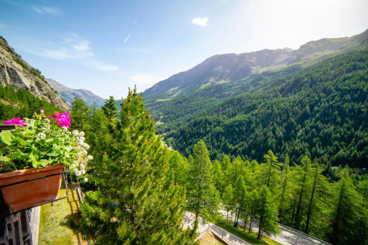 Hotel & Restaurant Perret - Mountain People Valgrisenche Exterior photo